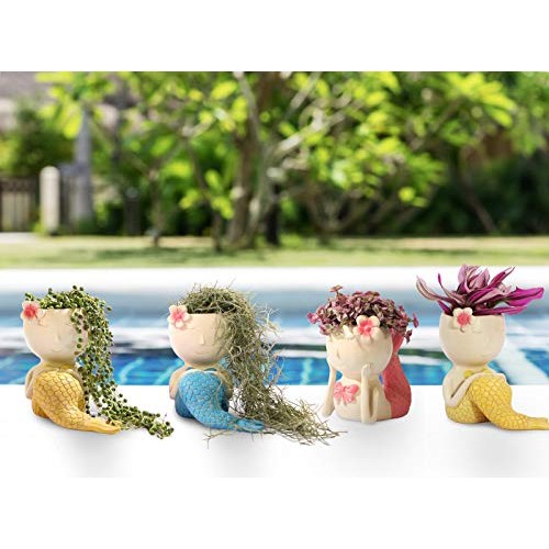FROZZUR 1PC Beauty Flower Pot of Fish Shape, Face Mermaid Flower P...