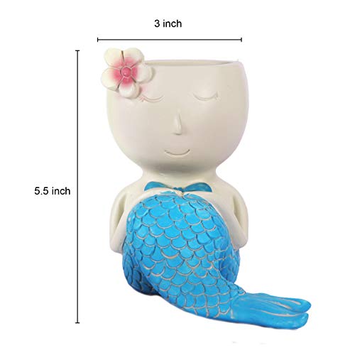 FROZZUR 1PC Beauty Flower Pot of Fish Shape, Face Mermaid Flower P...
