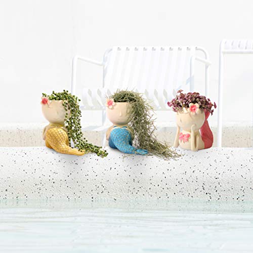 FROZZUR 1PC Beauty Flower Pot of Fish Shape, Face Mermaid Flower P...