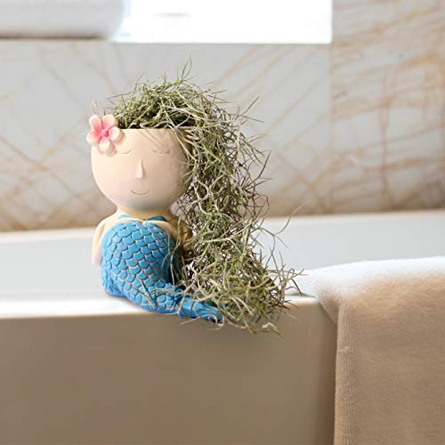 FROZZUR 1PC Beauty Flower Pot of Fish Shape, Face Mermaid Flower P...