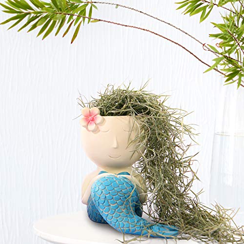 FROZZUR 1PC Beauty Flower Pot of Fish Shape, Face Mermaid Flower P...