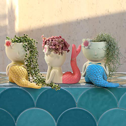 FROZZUR 1PC Beauty Flower Pot of Fish Shape, Face Mermaid Flower P...