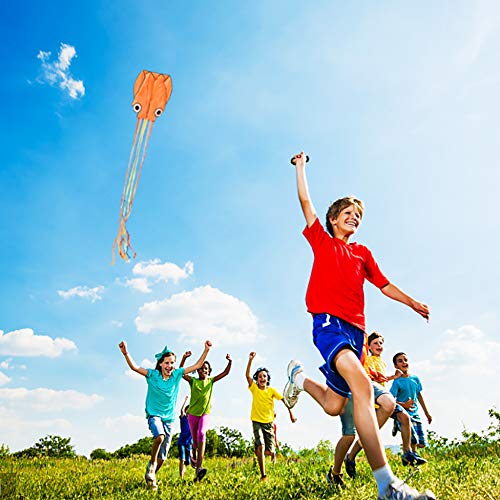 FUN LITTLE TOYS Rainbow and Octopus Kites for Kids and Adults, Kid...