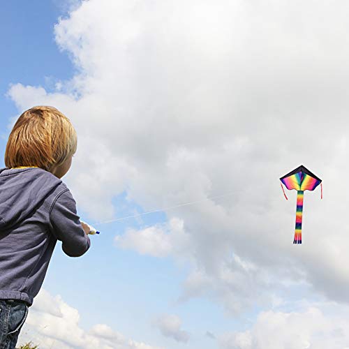 FUN LITTLE TOYS Rainbow and Octopus Kites for Kids and Adults, Kid...