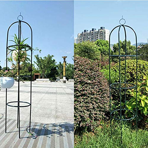 Funarrow Garden Trellis, Rustproof Sturdy Black Iron Trellis Potte...