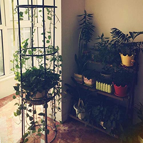 Funarrow Garden Trellis, Rustproof Sturdy Black Iron Trellis Potte...