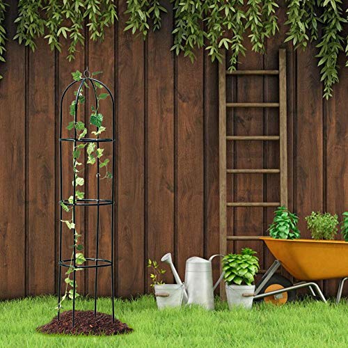 Funarrow Garden Trellis, Rustproof Sturdy Black Iron Trellis Potte...