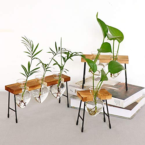 FuTaiKang Plant Terrarium Retro Desktop Heart Glass Planter Bulb G...