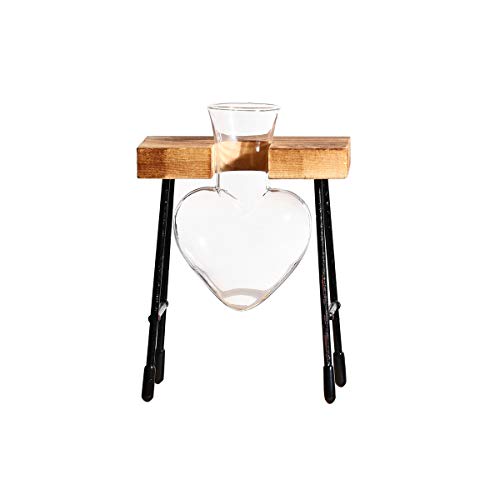FuTaiKang Plant Terrarium Retro Desktop Heart Glass Planter Bulb G...