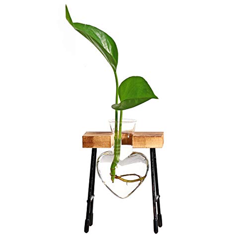 FuTaiKang Plant Terrarium Retro Desktop Heart Glass Planter Bulb G...