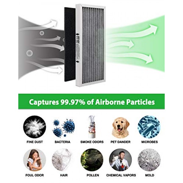 Future Way 2 Packs Odor Eliminator True HEPA Filter Replacement fo...