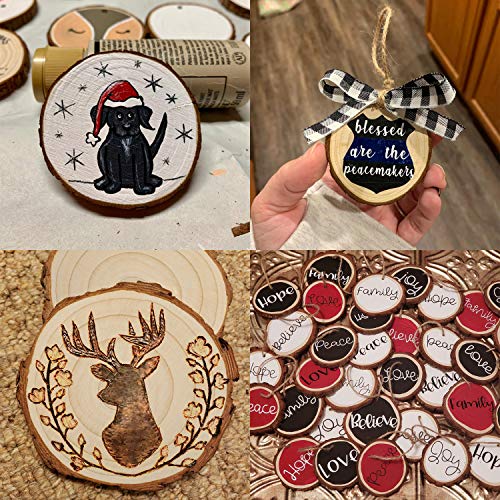 Fuyit Natural Wood Slices 20 Pcs 3.5-4 Inches Unfinished Wood Craf...