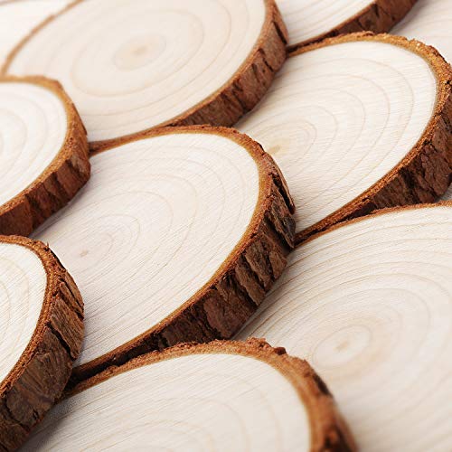 Fuyit Natural Wood Slices 20 Pcs 3.5-4 Inches Unfinished Wood Craf...