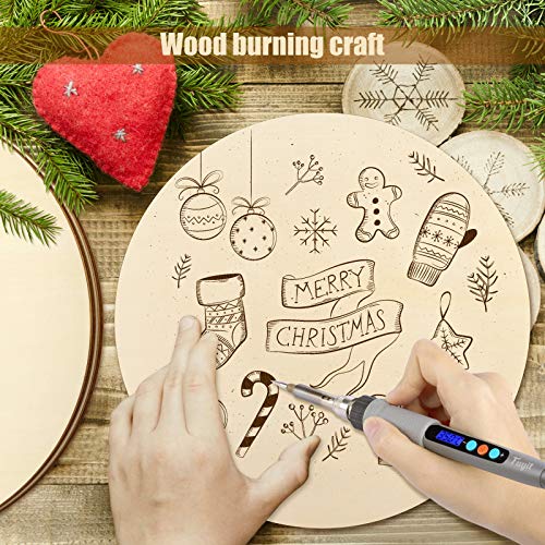 Fuyit Unfinished Wood Circles, 10Pcs 12 Inch Uniform Blank Wood Ro...