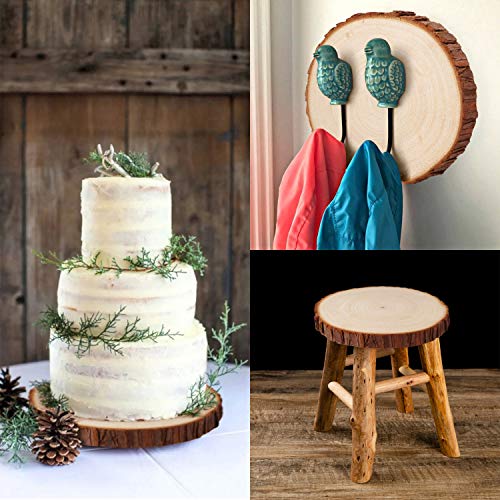 Fuyit Wood Slices 6 Pcs 6-6.3 Inches Unfinished Natural Tree Slice...
