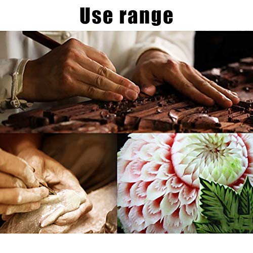 Wood Carving Tool Set, 12 Pieces Wood Carving Chisel,Carving Chise...