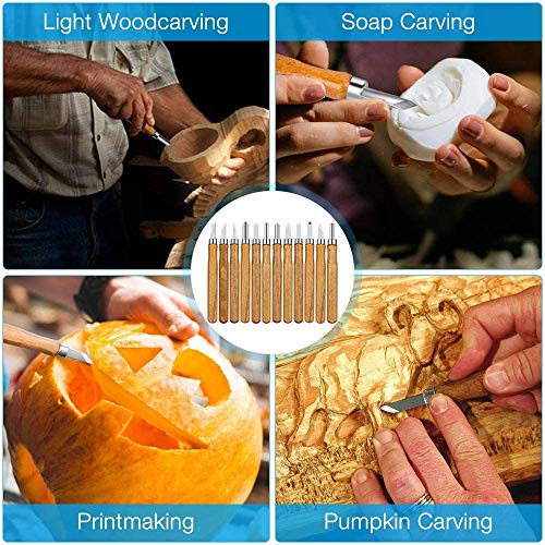 Wood Carving Tool Set, 12 Pieces Wood Carving Chisel,Carving Chise...