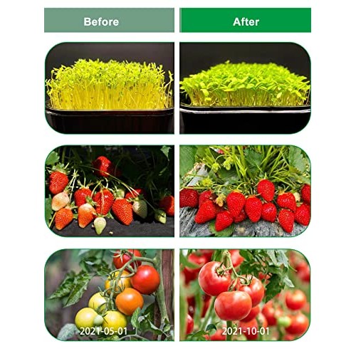 fyheart Grow Lights for Indoor Plants,Full Spectrum Grow Light wit...