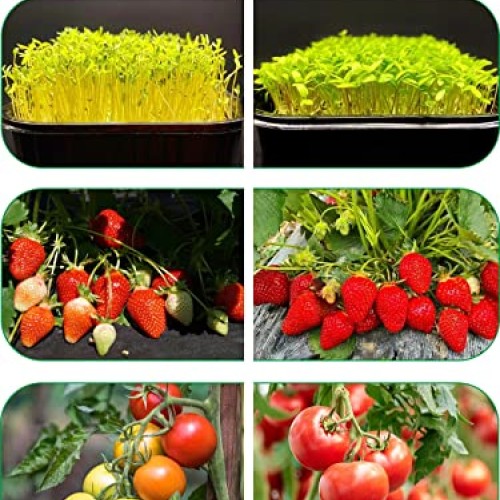 fyheart Grow Lights for Indoor Plants,Full Spectrum Grow Light wit...