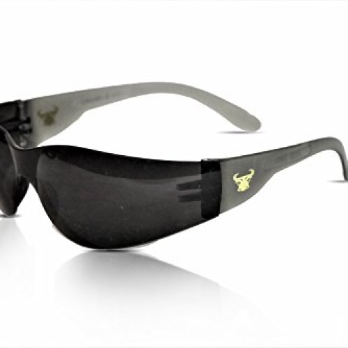 G & F 13017 EyePRO 12 pack Safety Glasses, safety goggles, Scratch...