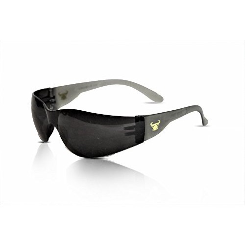 G & F 13017 EyePRO 12 pack Safety Glasses, safety goggles, Scratch...