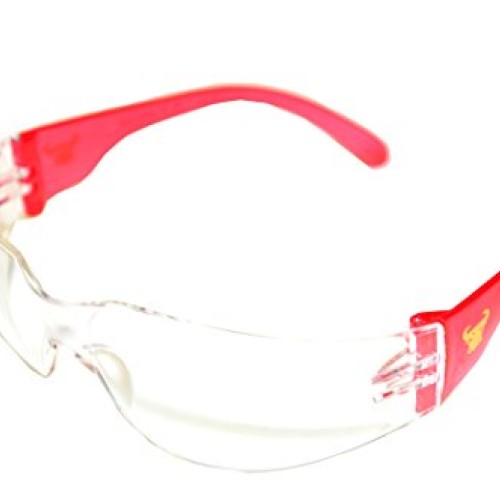 G & F Products - 13016-NEW 13016NEW EyePRO Safety Goggles with 99%...