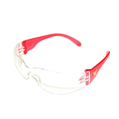 G & F Products - 13016-NEW 13016NEW EyePRO Safety Goggles with 99%...