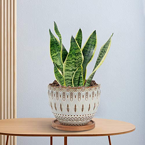 Vintage Succulent Planter Large Plant Pot Ceramic Bohemian Planter...