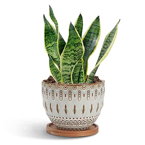 Vintage Succulent Planter Large Plant Pot Ceramic Bohemian Planter...