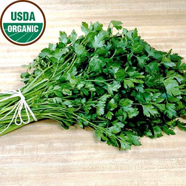 Gaeas Blessing Seeds - Organic Dark Green Italian Parsley Seeds 1...