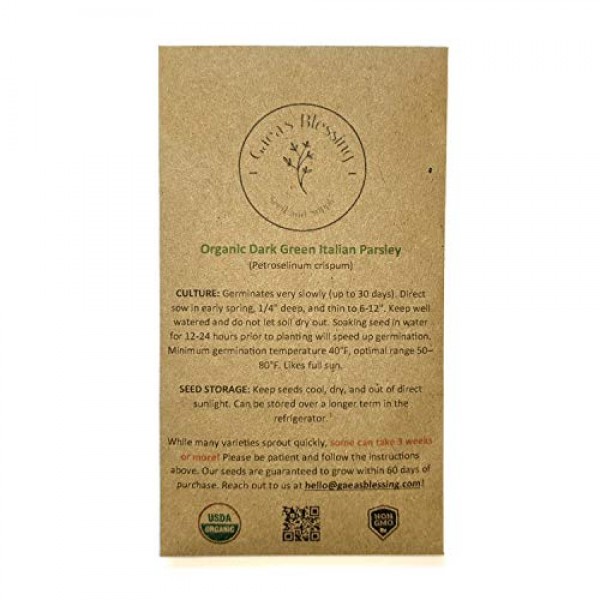 Gaeas Blessing Seeds - Organic Dark Green Italian Parsley Seeds 1...