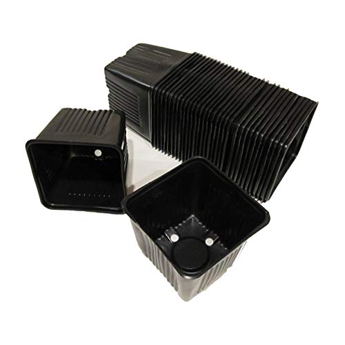 Gage Durapot Square Plastic Nursery Pots, 4 - Qty. 50