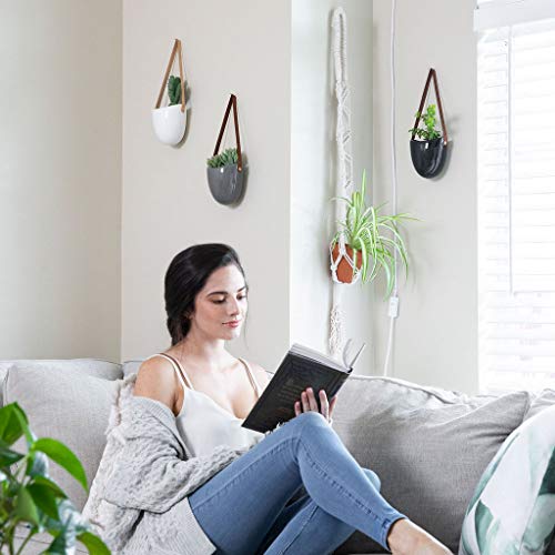 Galaxy Concepts Ceramic Hanging Planter Succulent Air Plant Flower...