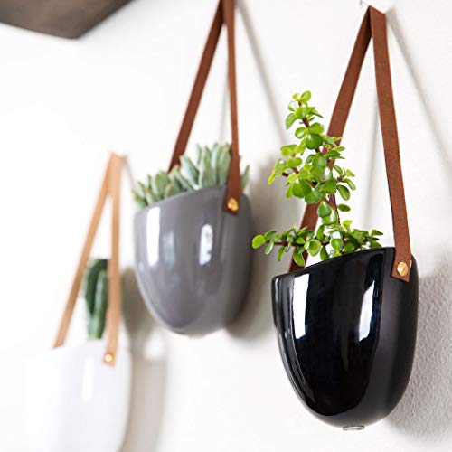 Galaxy Concepts Ceramic Hanging Planter Succulent Air Plant Flower...