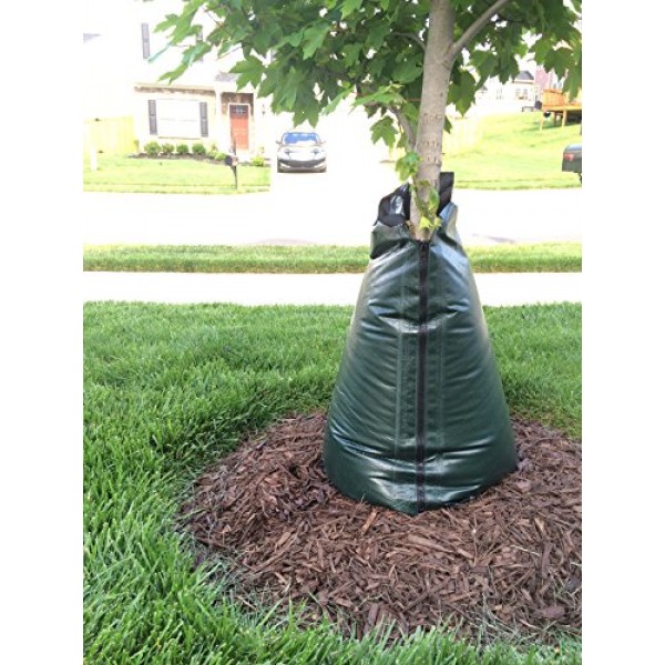 Garden Armor 20 Gallon Slow-Release Tree Watering Bag