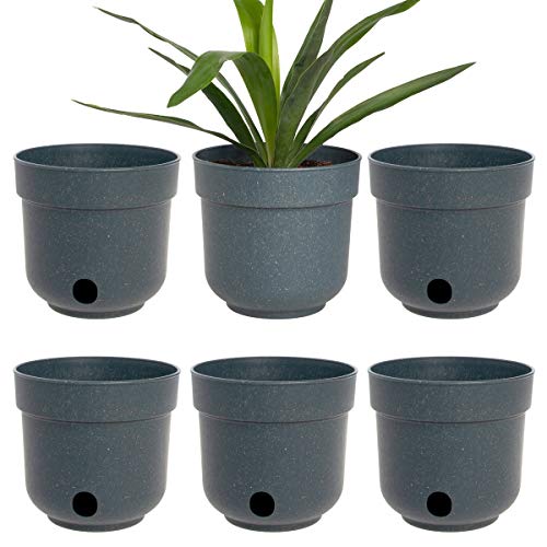 Garden Artist 6 Pack 6.5 Inch Self Watering Planter Indoor Outdo...
