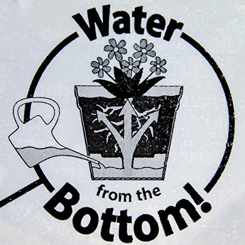 Garden Artist 6 Pack 6.5 Inch Self Watering Planter Indoor Outdo...