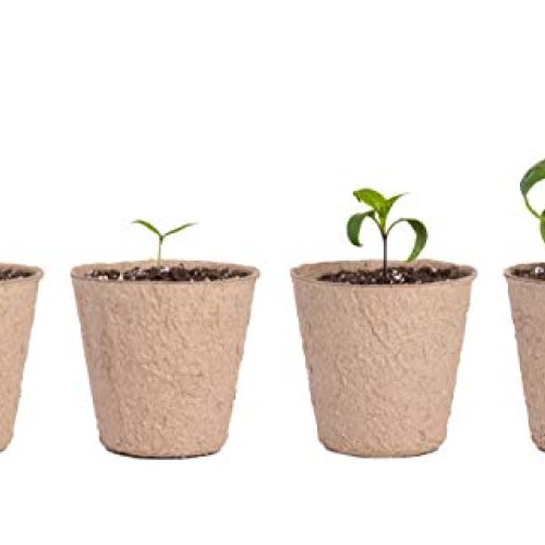 Garden Growers Seed Starter Pots – 3 Inch Biodegradable Peat Pods ...