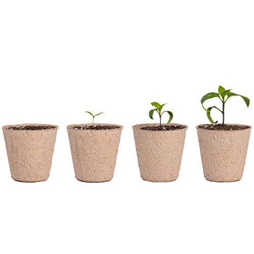 Garden Growers Seed Starter Pots – 3 Inch Biodegradable Peat Pods ...