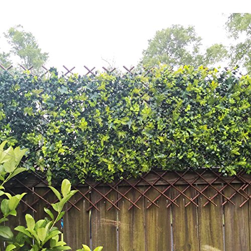 Expandable Garden Trellis Plant Support Willow Lattice Fence Panel...