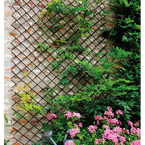 Expandable Garden Trellis Plant Support Willow Lattice Fence Panel...
