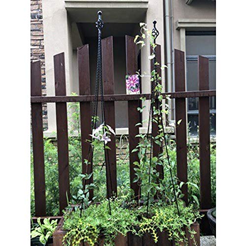 Garden Obelisk Trellis for Potted Climbing Plants Indoor and Outdo...