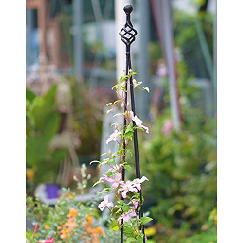 Garden Obelisk Trellis for Potted Climbing Plants Indoor and Outdo...