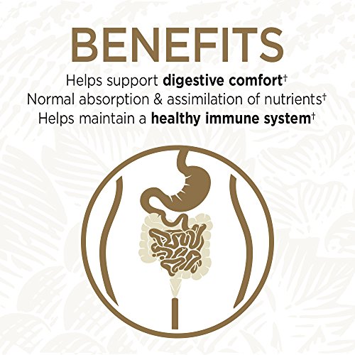 Garden of Life Whole Food Probiotic Supplement - Primal Defense UL...