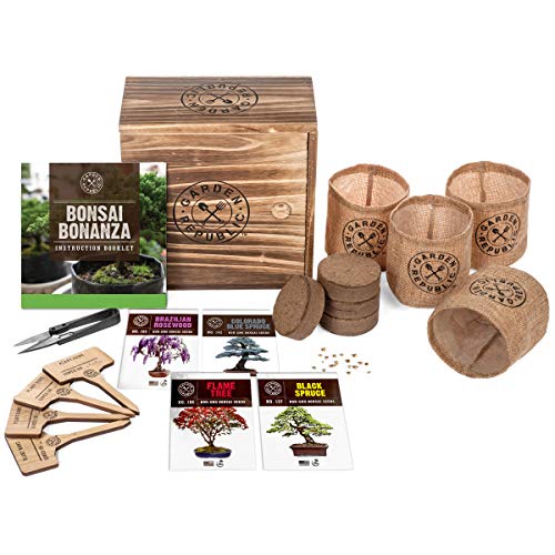 Bonsai Tree Seed Starter Kit - Mini Bonsai Plant Growing Kit, 4 Ty...