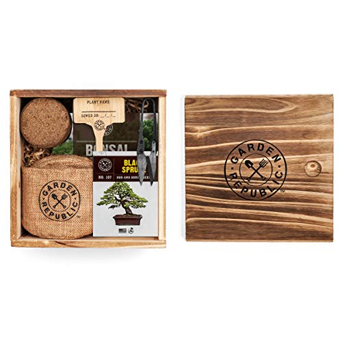 Bonsai Tree Seed Starter Kit - Mini Bonsai Plant Growing Kit, 4 Ty...
