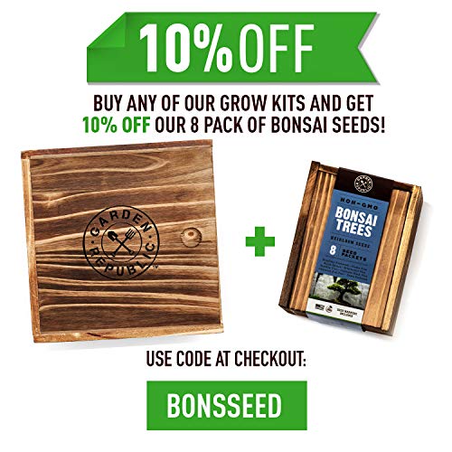 Bonsai Tree Seed Starter Kit - Mini Bonsai Plant Growing Kit, 4 Ty...