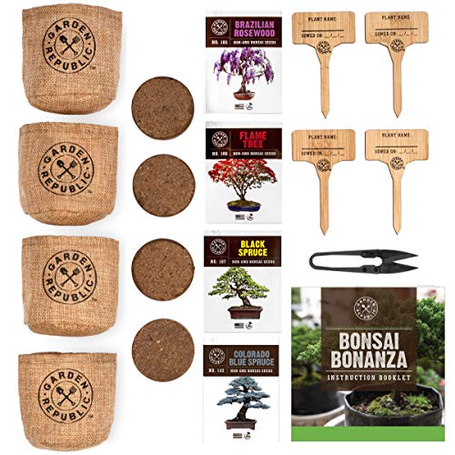 Bonsai Tree Seed Starter Kit - Mini Bonsai Plant Growing Kit, 4 Ty...