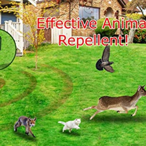 GARDEN SECRETS Compact Solar Ultrasonic Animal Repellent. Skunk Ra...