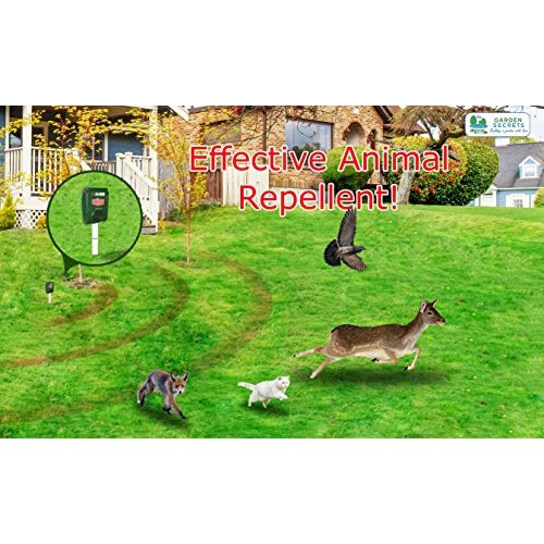 GARDEN SECRETS Compact Solar Ultrasonic Animal Repellent. Skunk Ra...